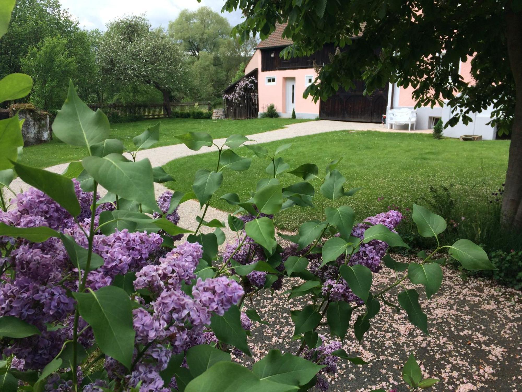 Landhaus Am Schloss Schnabelwaid Buitenkant foto